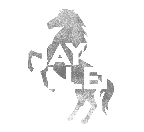 jay-allen-store